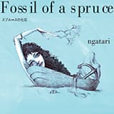 スプルースの化石